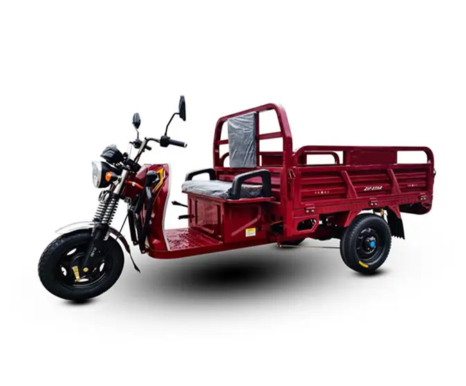 Pilot Electric Tricycle for Cargo Transportation