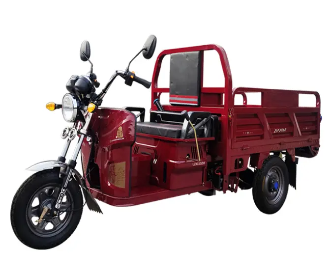 110ZH-AA Truck Tricycle for Cargo Transportation