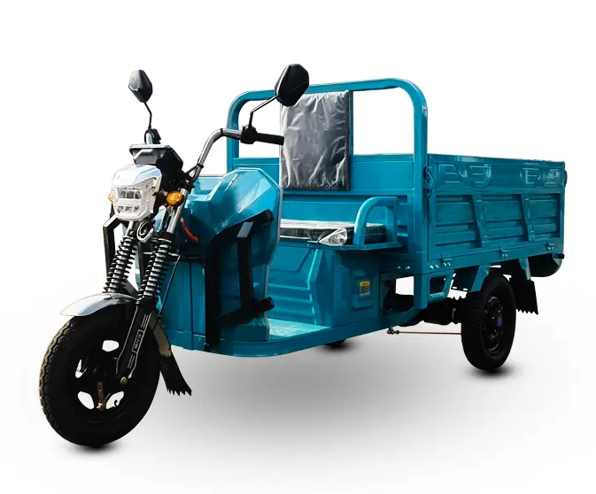Charge Electric Tricycle for Cargo Transportation