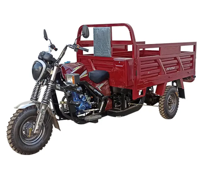 150ZH-2AA Gas Powered Tricycles for Adults Freight Transport